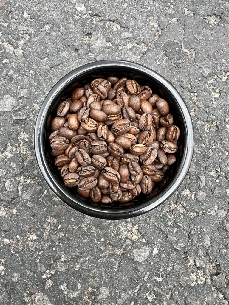 Geisha Finca El Encino