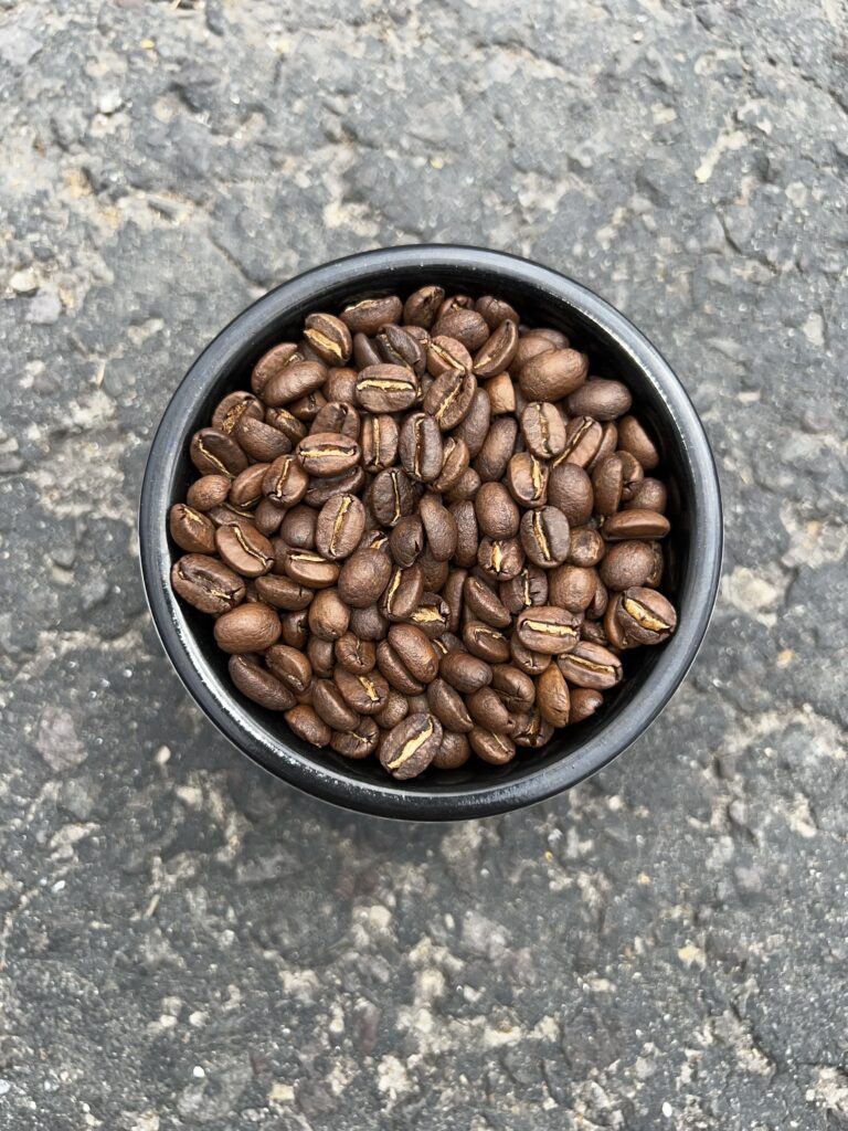 Women lot. Raíces de Mujer